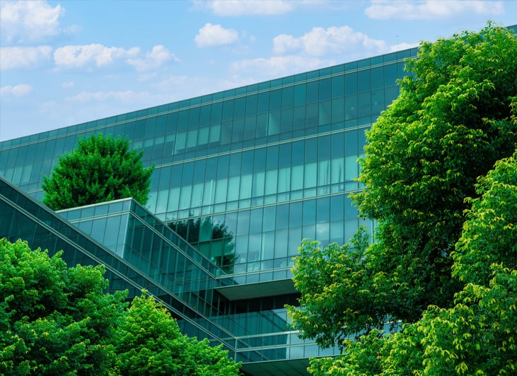 Energy and Sustainability